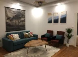 Renovated charming appartment