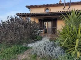 Namaste - Mare, Lago di Bolsena e Terme di Vulci