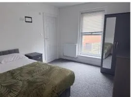 Spacious Double Room with Private Bathroom and Kitchen Access