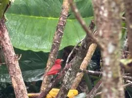 EcoPolis el queremal entrada