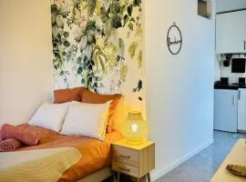 Salamandre Cocon cosy proche tram et facultés