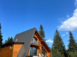 Carpathic Chalet，Comandău的飯店