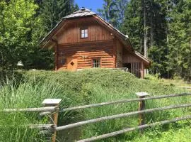 Holiday Home Silbertannenhütte by Interhome