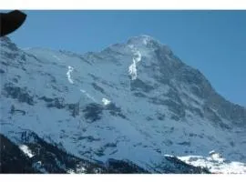 Apartment Uf dr Liwwi by Interhome