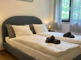 Apartment Work&Chill Wallis by Interhome