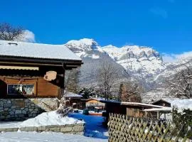 Apartment Chalet Haus - bei Einfahrt grosser Nussbaum by Interhome