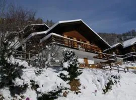 Holiday Home Chalet Le Griffon by Interhome
