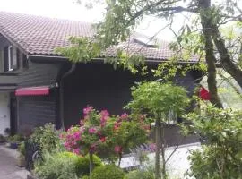Apartment Charmantes Chalet Apartment mit Aussicht by Interhome