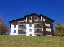 Apartment Gemütlichkeit by Interhome