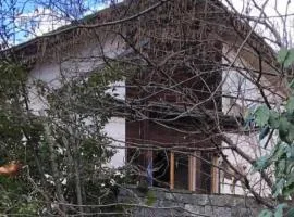 Apartment Tessin by Interhome