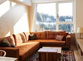 A63 Premium apartment located in hotel Vucko-private host