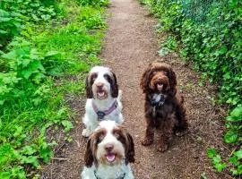 Detached Lyme Regis Studio - Pet Friendly - Private Parking - Small Private Fenced Garden