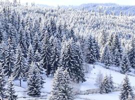 Casuta Schiorului Marisel, Cluj，馬利賽爾的飯店