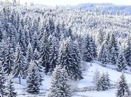 Casuta Schiorului Marisel, Cluj