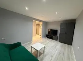 Riverview Apartment next to Jelgava Palace - 2min to Bridge