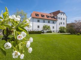 Schloss Hotel Wasserburg, hotel in Wasserburg am Bodensee