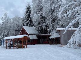Cabana Paltini, hotel 