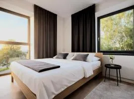 Javorná - Aura a Nord