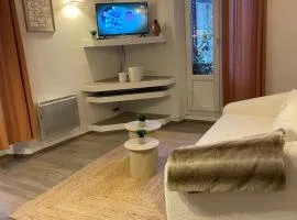 Appartement douillet au coeur de Fayence