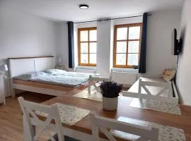 Apartmán Kopretina Krušné hory - Erzgebirge