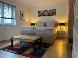 Modern Apartment Karlsruhe City Center