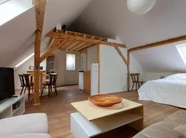 Hidden Attic Room - Colmar