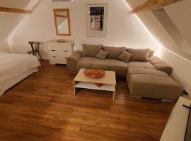 Large Private Room Near Colmar Center with Free Public Parking, hotel v destinácii Colmar