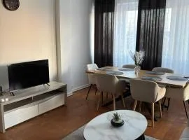 Appartement entier vu sur la Saône en plein centre