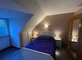 Logement à côté de la station de ski le Lioran dans le Cantal