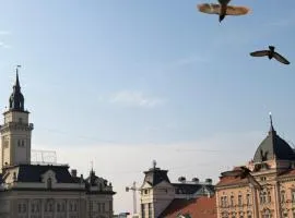 Historic Grand Suite