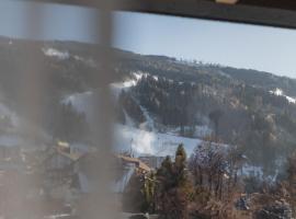 Haus Zirngast, hotel en Schladming