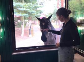 Gajówka Pilica 45A: Łęg Ręczyński şehrinde bir otel