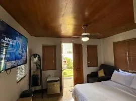 Villa with Beachfront Access