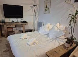 Maison de la Croix Verte - Gite 13 personnes a Chambourg