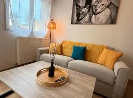 Appartement cosy au cœur du Mans Proche Centre-Ville