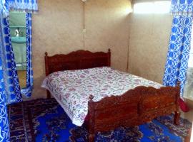 H B RAH Group Of Houseboats, hotel with parking in Durgjan