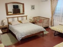 The Lemon Tree House