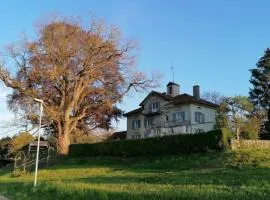 Apartment Studio Ferienwohnung - 38 m2- mit Gartennutzung by Interhome