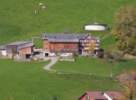 Apartment Hasenbüel by Interhome