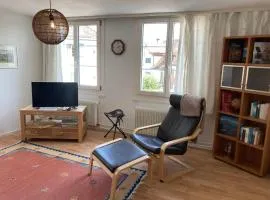 Apartment Domizil 1 by Interhome