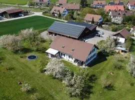 Apartment Pünthof by Interhome