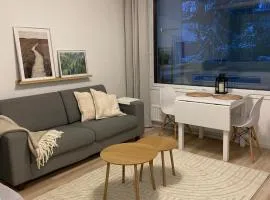 Viihtyisä ja hyvin varusteltu yksiö Hervannassa, ilmainen pysäköinti