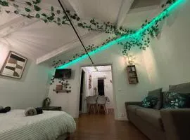 Loggia dei Portici, Mansarda nel Cuore di Treviso