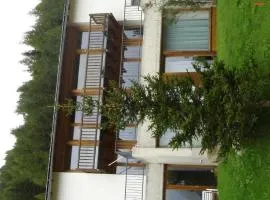 Apartment Drei 1-2 -ZiWohnung by Interhome