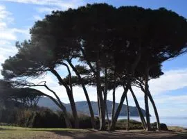 Agriturismo Barattis