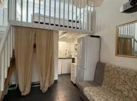 La maisonnette de Gruissan