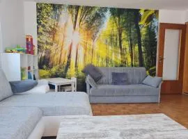 Apartment Lusen by Interhome