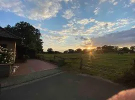 Schöne Wohnung an einer Pferdeweide