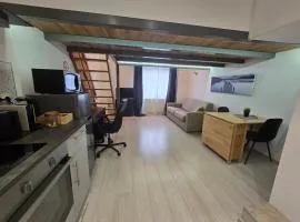 Studio cosy avec mezzanine & parking 2min Walibi