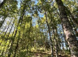 La Pomerania, hotel a Isla Allaquillén